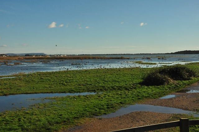 04 11 13_9661.JPG - STANPIT MARSH NATURE RESERVE - 4.11.13 - EXCEPTIONAL HIGH TIDE